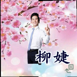 柳婕